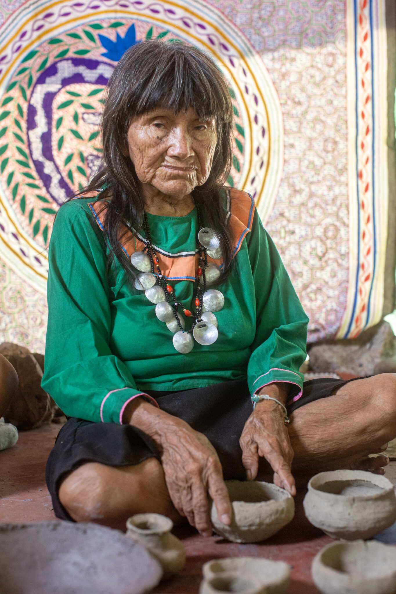 Shipibo-Konibo artistic tradition